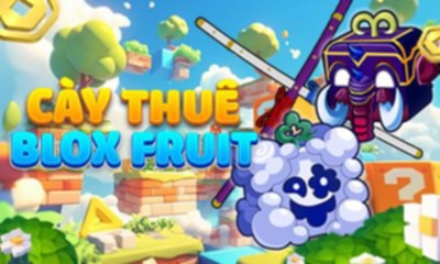 CÀY THUÊ BLOX FRUIT